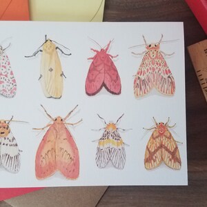 Moth Line up Folded Note Card 10 Pack