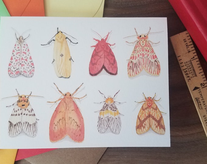 Moth Line up Folded Note Card 10 Pack