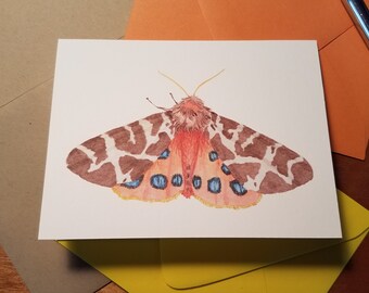 Blue Spotted Moth Single Folded Note Card