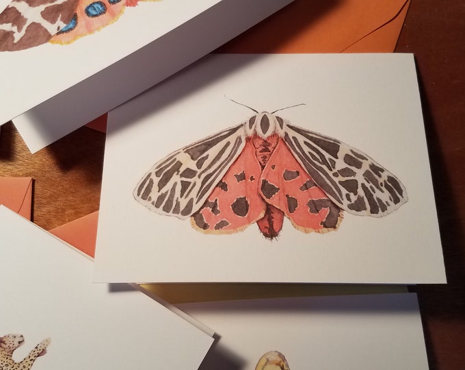 Large Fuzzy Moth Single Folded Note Card
