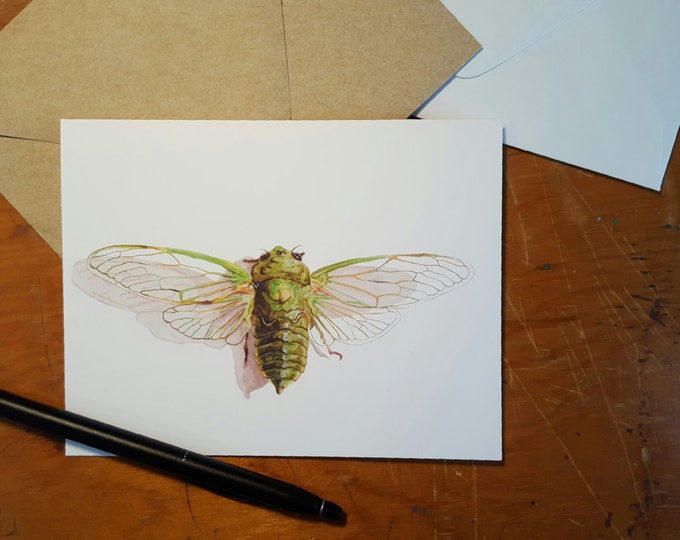 Cicada Folded Note