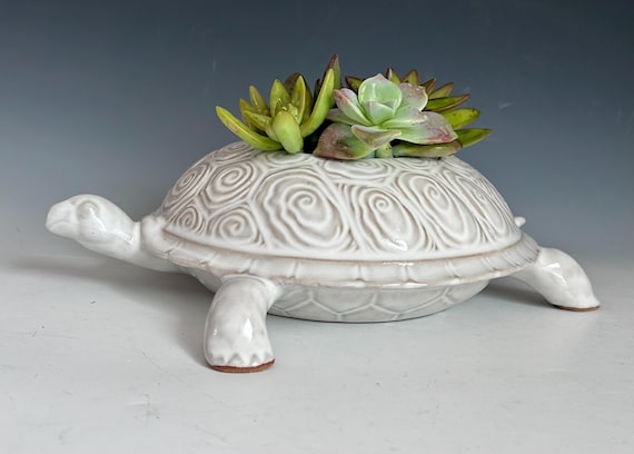 Turtle planter, stoneware tortoise container, ceramic turtle bowl, stoneware pottery, turtle, plants, candles, food server