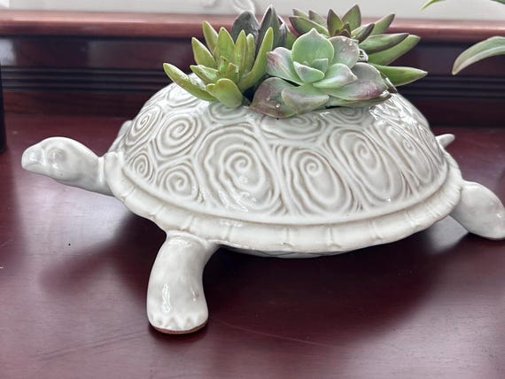 Turtle planter, stoneware tortoise container, ceramic turtle bowl, stoneware pottery, turtle, plants, candles, food server