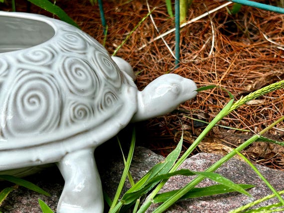 Turtle planter, stoneware tortoise container, ceramic turtle bowl, stoneware pottery, turtle, plants, candles, food server