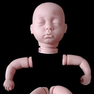 NOS Rare Fiorenza Biancheri &quot;Sebastiano&quot; Reborn doll KIT. Comes with a COA