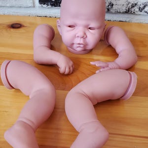 NOS KIT Translucent RDK Apple 22+ in Blank Kit of Unpainted Head and Limbs By V. Ebbeling