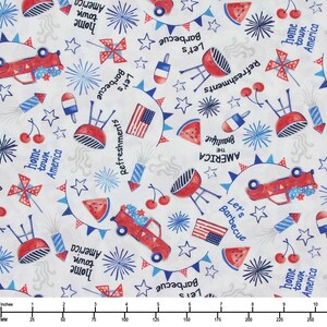 SMP10492-WHITE-D 60&#39;&#39;Michael Miller White Hometown Pride on Minky Wide Backing