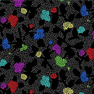 6183-94 108&#39;&#39; Studio E Black Geo Floral Wide Backing
