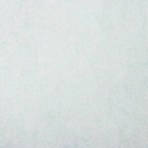 May include: A plain, light blue background with a subtle, textured pattern.