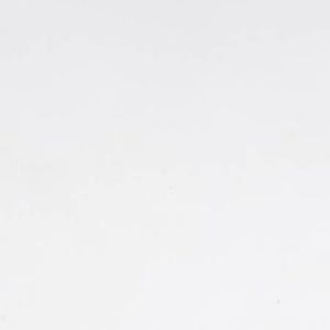 May include: A plain white background with no visible objects or text.