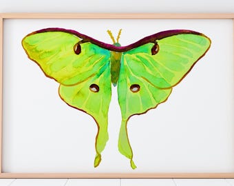 Luna moth, green moth, neon, lime, butterfly, bold nature, office decor, living room, insect painting BrightKind Creative