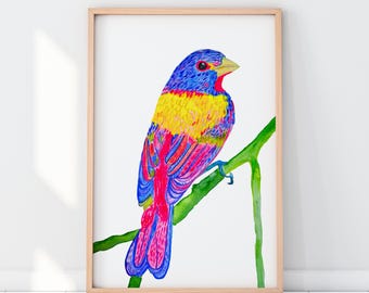 Painted Bunting Art Print – Colorful Bird Watercolor – Symbolic Nature Wall Art – Coastal Cottage Decor BrightKind Creative unframed