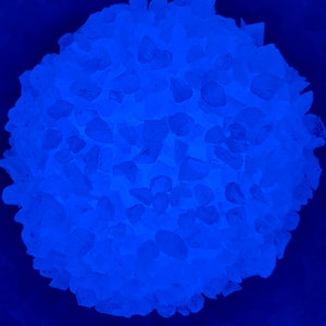 May include: A close-up of a pile of white crystals glowing blue under a blacklight.