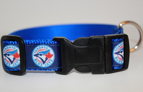 blue jays dog collar