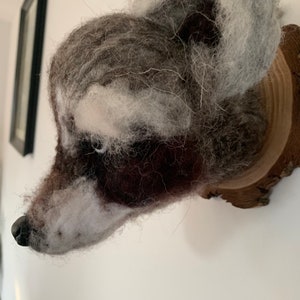 Nadelgefilzter Waschbärkopf gefilzt auf Holzscheibe, Wandbild