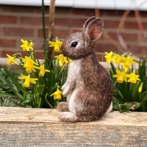 wild bunny rabbit needle felted sculpture lifesize lifelike realistic