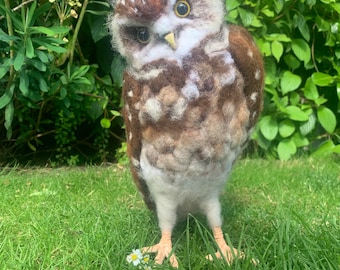 Needle felted burrowing owl, as seen on the traitors tv series!