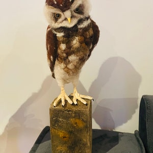 Half size burrowing owl made to order