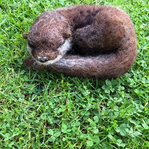 Schlafender Otter nach Maß und nach Bestellung