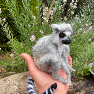 Nadel gefilzter Lemur auf Bestellung