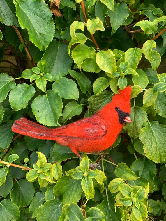 Aguja de fieltro cardenal rojo escultura de pájaro americano - Etsy México Aguja de fieltro cardenal rojo escultura de pájaro americano - Etsy México
