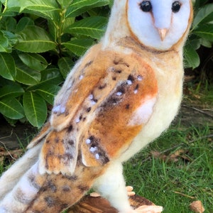 Needle Felted Barn Owl 3D Sculpture Workshop Recording & Kit