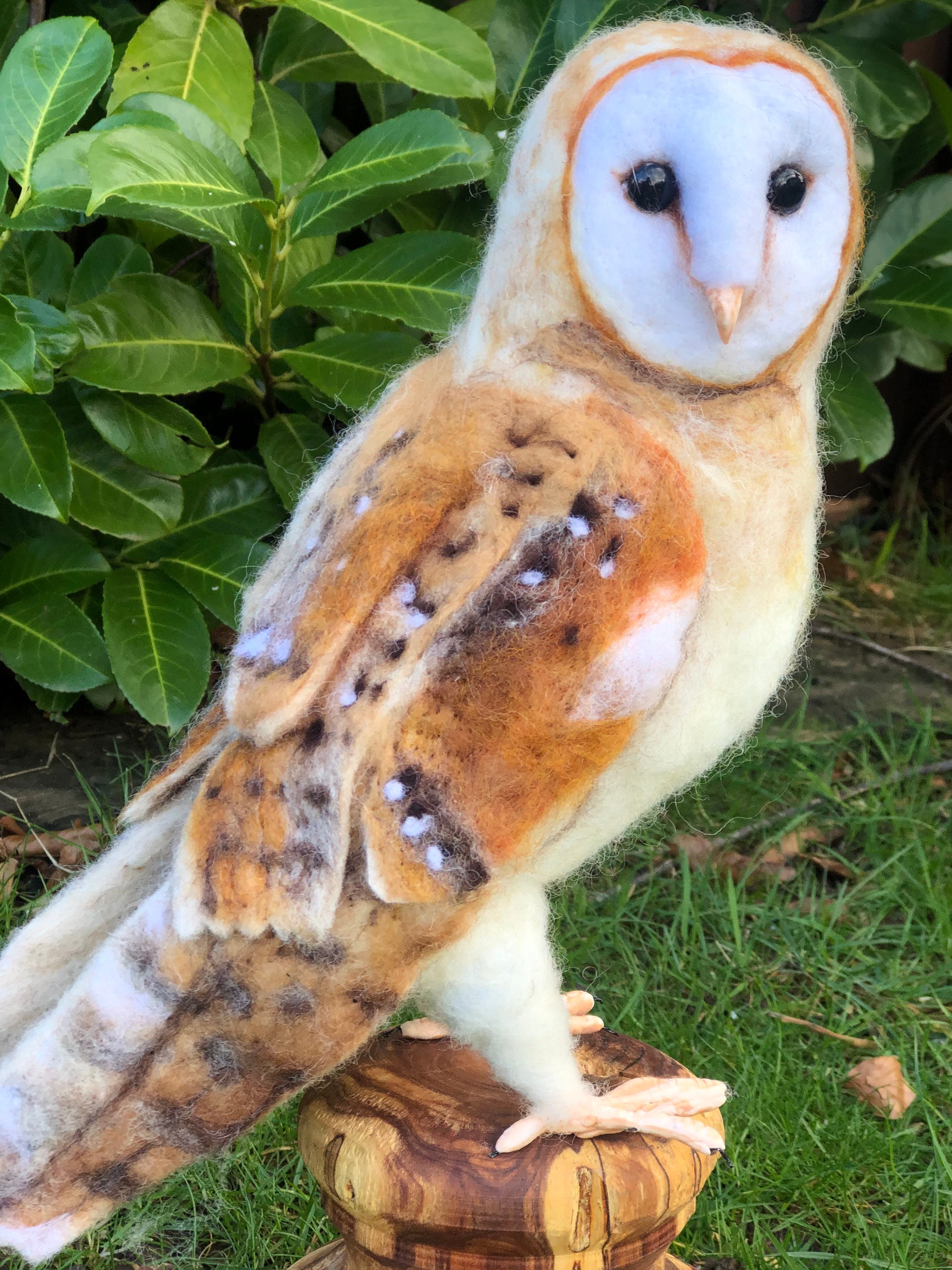 Barn Owl Needle Felting Kit