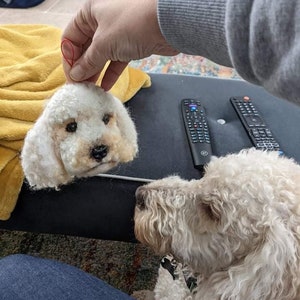May include: A white felt dog head, with black eyes and a black nose, is held up next to a real white dog. The dog is looking at the felt dog head.