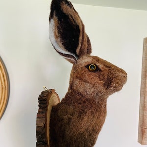 May include: A brown and white needle felted hare head mounted on a wooden slice. The hare has a long, pointed nose and large, brown eyes.