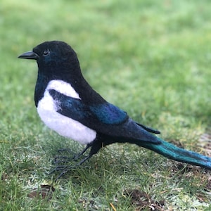 Needle felted lifesize magpie, made to order.