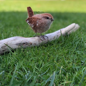 Needle felted wren wool sculpture driftwood not included.