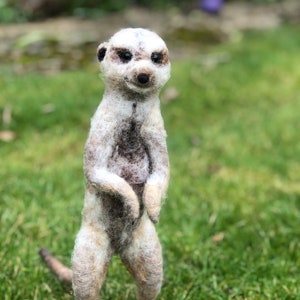 Video Tutorial workshop recording and kit to make needle felted meerkat 3D sculpture