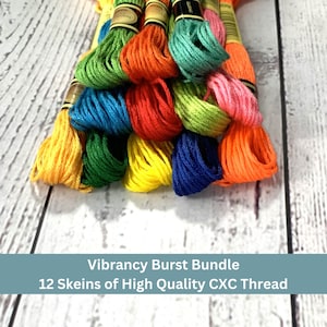 May include: A bundle of 12 colorful embroidery floss skeins, labeled "Vibrancy Burst Bundle 12 Skeins of High Quality CXC Thread".