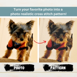 May include: A side-by-side comparison of a photo and a cross-stitch pattern of a small dog wearing an orange sweater. The photo shows the dog standing on a surface. The pattern is a pixelated version of the photo.