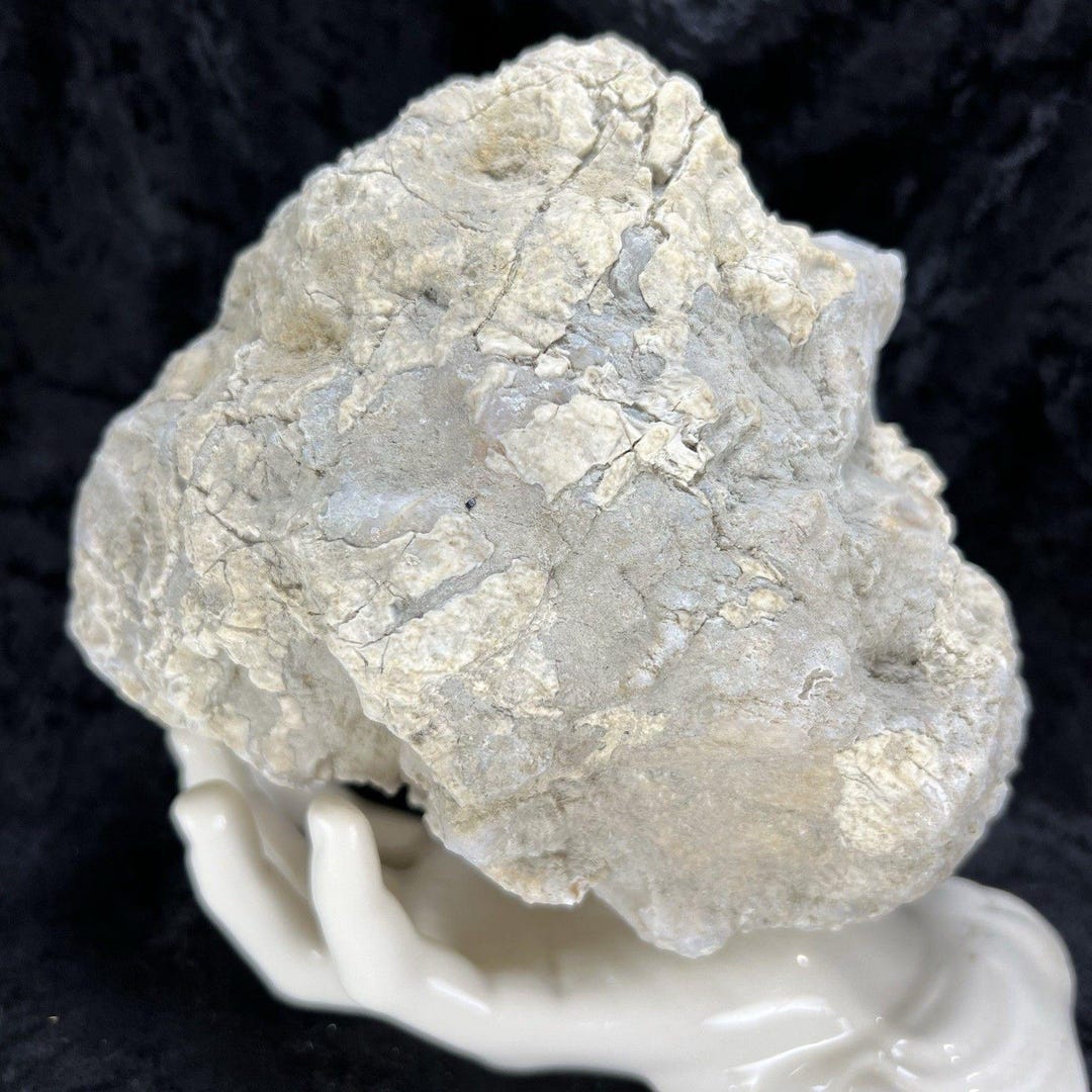 Quartz Rattler 6