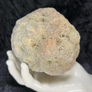 May include: A beige, textured rock with hints of pink and yellow, held in a white ceramic hand. The rock's surface is rough and uneven, showcasing natural patterns. The background is a dark, solid color.