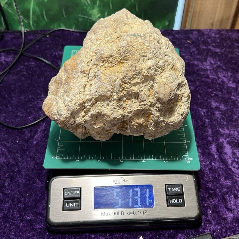 Quartz Rattler Large Geode 6-1/2