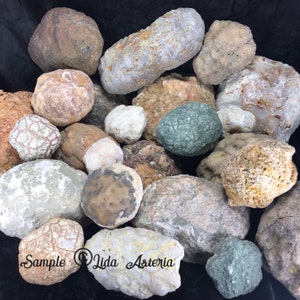May include: A collection of various rocks and geodes in shades of brown, gray, white, and green. Some rocks have textured surfaces, while others are smooth. The image includes the text "Sample Lida Asteria".