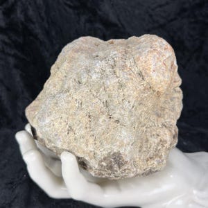 May include: A rough, beige-colored rock with a textured surface. The rock has a rounded shape and varying shades of tan and gray. The rock is resting on a white, porcelain hand.