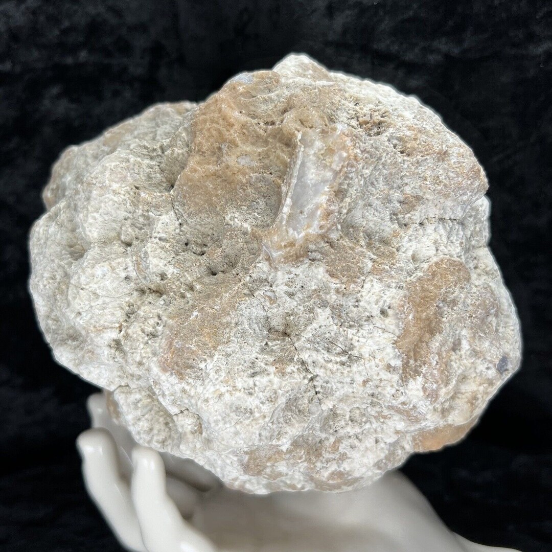 Quartz Rattler 6” Unopened GEODE Rattler Crystal Hollow Rough Easy Break Your Own ...