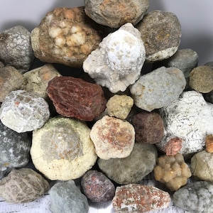 May include: A collection of various rocks and geodes in shades of gray, brown, and white. Some have a rough, textured surface, while others have a smoother appearance. The assortment includes different sizes and shapes, creating a natural, earthy aesthetic.