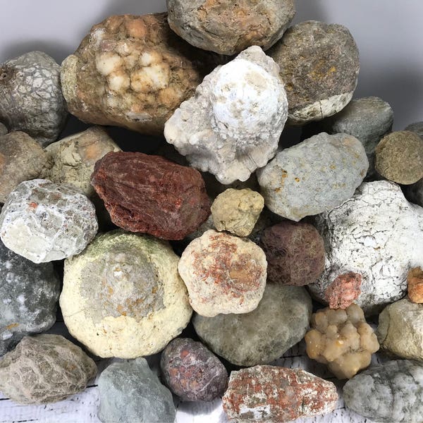 8-10LBs Unopened Geodes Mixed Variety Natural Raw Quartz "Break Your Own Rocks" Whole Uncut Kentucky Crystal Cluster Stone