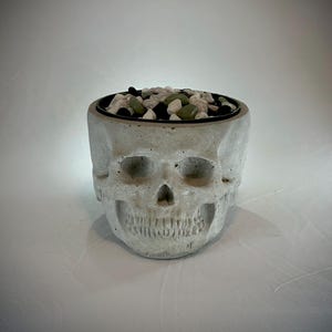 May include: A concrete skull planter with a black rim, filled with small grey, white, and green stones.