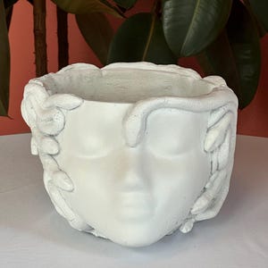 May include: A white, sculpted planter in the shape of a face with closed eyes and snakes entwined around the head. The planter has a textured surface and a wide opening for plants. The background features green leaves.
