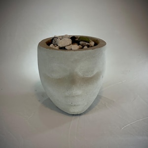 May include: A white concrete planter shaped like a face. The planter is filled with small white rocks and green plants.