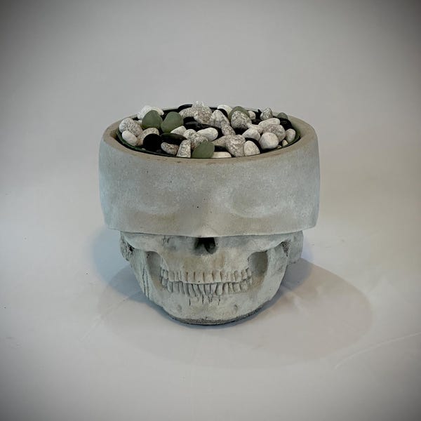 Macetero de hormigón Masque de 6 pulgadas