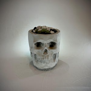 May include: White ceramic skull planter with a black rim filled with small green and white stones.