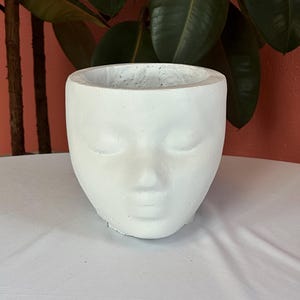 May include: A white, face-shaped planter with closed eyes, a nose, and a mouth. The planter is made of a textured material and sits on a white surface. Green leaves are visible in the background.