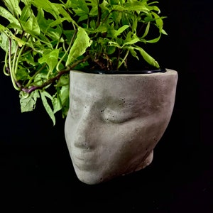 Serenity concrete planter image 5