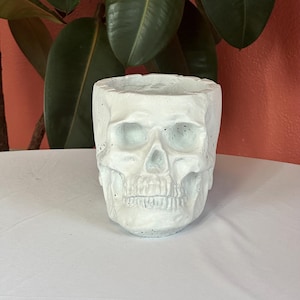 May include: A white skull-shaped planter made of concrete. The planter has a hollowed-out top for holding plants or other items. The skull features detailed facial features, including eye sockets, a nose cavity, and teeth. The planter is a decorative item.